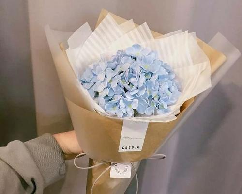 甘露一叶一芽是什么花语？这个花语代表了什么？