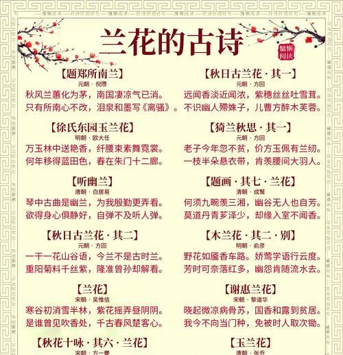 兰花的花语含义有哪些？