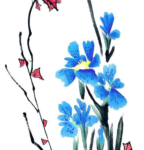 蓝白蝴蝶花象征着什么？它的花语有何深意？