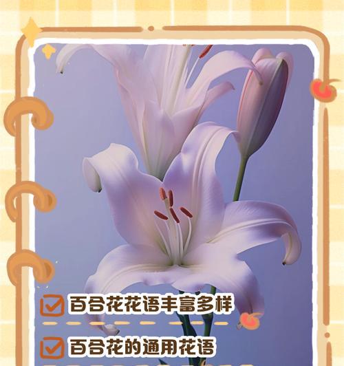 花语搞笑含义是什么？如何正确理解花语？