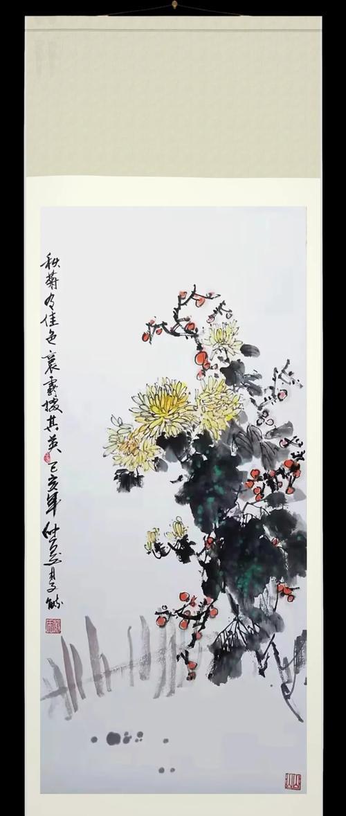 吉祥菊的花语与寓意有何不同？