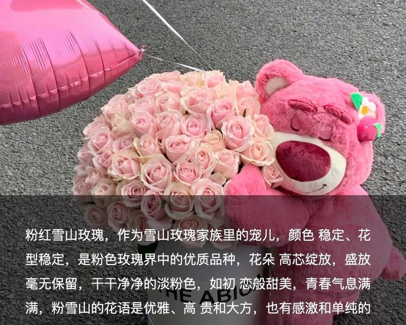 粉红雪山玫瑰搭配花语有何特别之处？