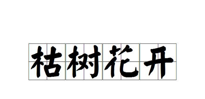 枯树开花的花语和寓意是什么？