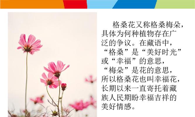 鲜花植物的花语代表什么？如何理解它们的含义？