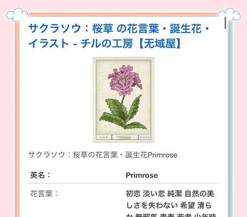 哪些花语暗示着结束？