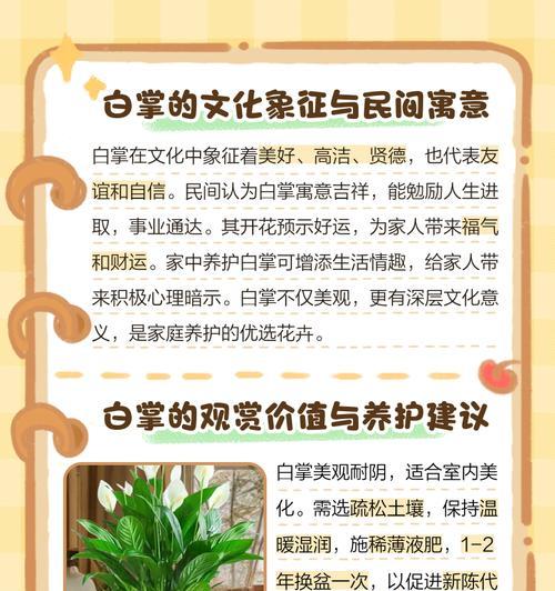 哪些花语暗示着结束？