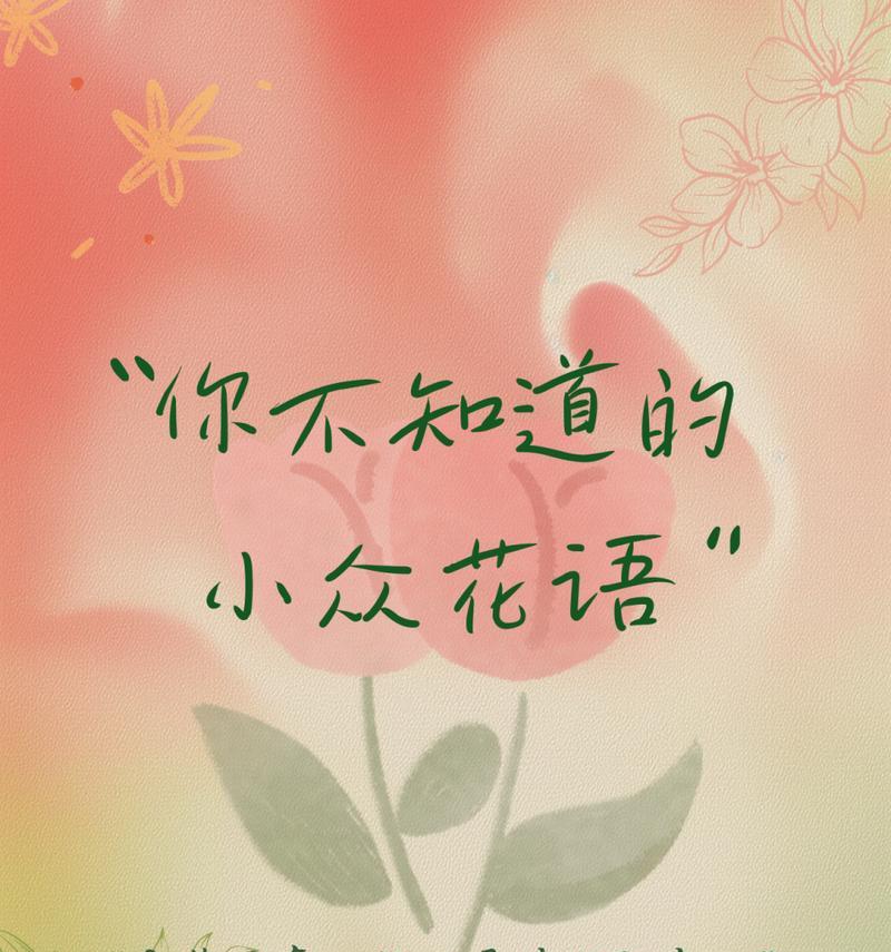 雏菊的花语是什么？为何说它有很多花？