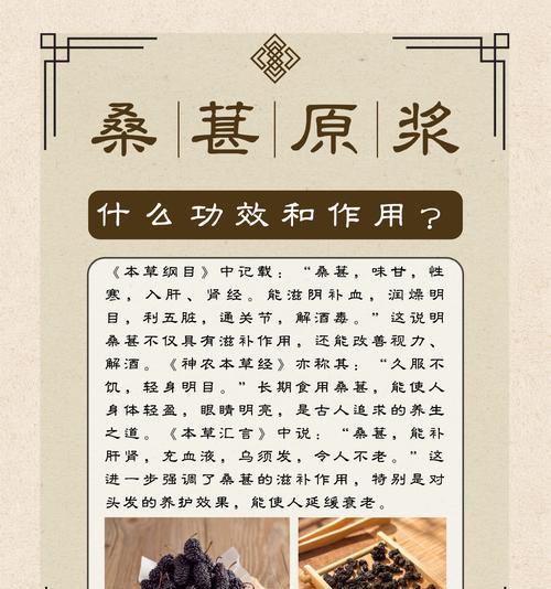 桑葚果的寓意和花语有何特别之处？代表了什么？