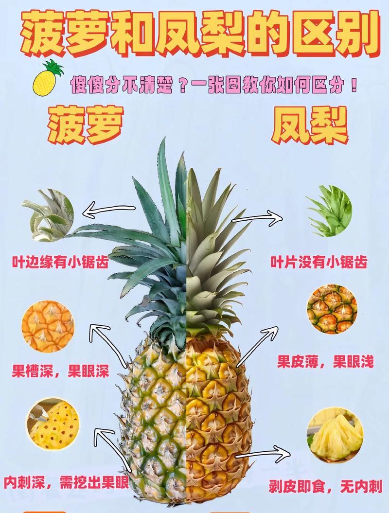 菠萝花束的花语是什么？它代表了什么样的情感或信息？