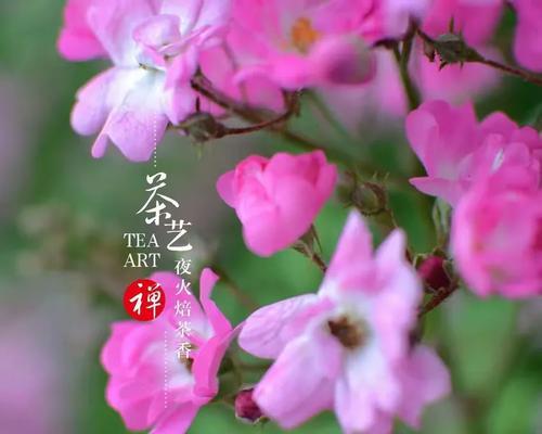 花语满园表达了什么？它有何深层含义？
