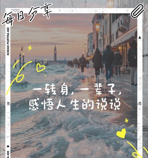 转身即逝的爱花语有何深意？