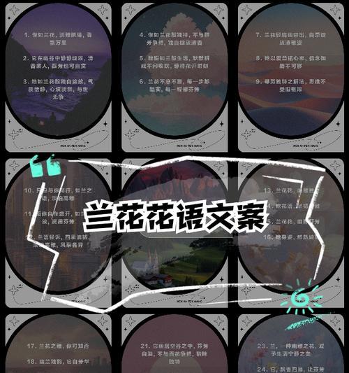 醉美的兰花花语是什么？兰花的花语有哪些美丽的含义？