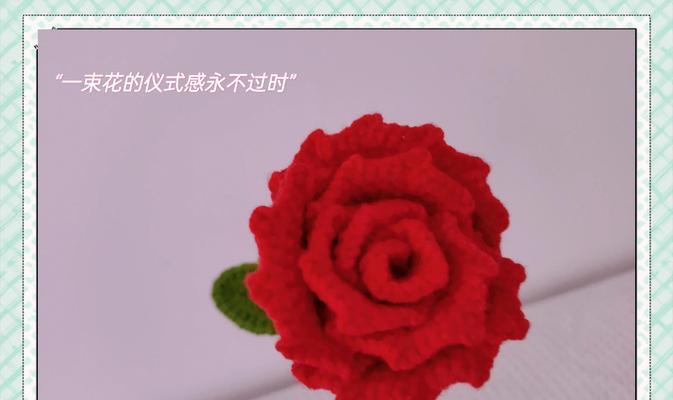 100朵玫瑰花语代表什么？如何表达爱意？
