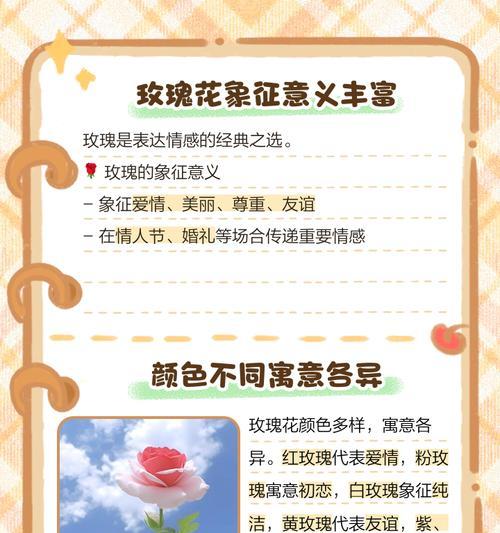 送男人玫瑰花有何含义？一支玫瑰花代表的特殊情感是什么？