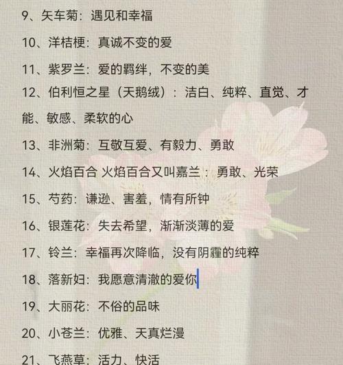 玩具玫瑰的花语是什么？它在花语中代表了什么？