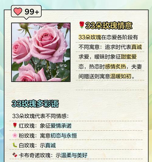 玩具玫瑰的花语是什么？它在花语中代表了什么？