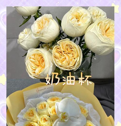 玩具玫瑰的花语是什么？它在花语中代表了什么？