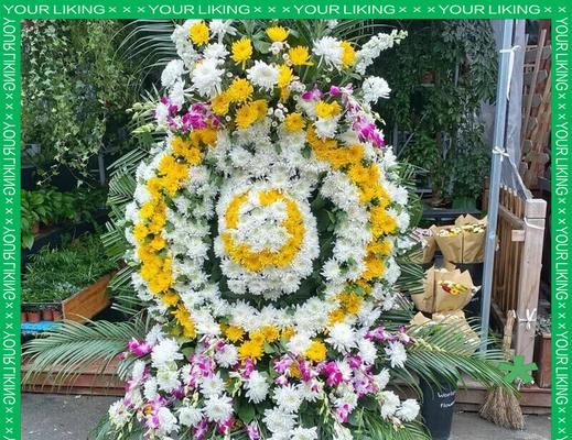 已逝去的爱的花语代表什么？如何表达哀思？