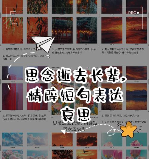 已逝去的爱的花语代表什么？如何表达哀思？