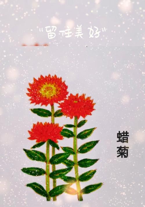 白秸秆的花语和寓意有哪些？