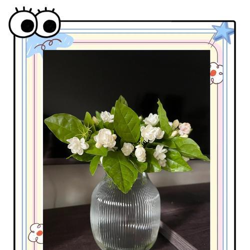 丁香茉莉的花语有哪些?丁香茉莉的寓意是什么? 丁香茉莉的花语有哪些?丁香茉莉的寓意是什么?