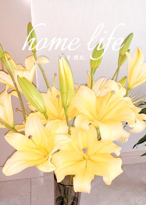 百合花语伟大的爱是什么？百合花代表的爱有何不同？