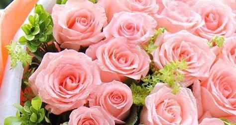 约会玫瑰碎花的花语是什么？碎花玫瑰在约会中的含义？