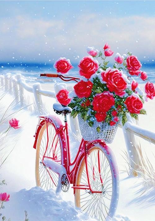 在雪中手持玫瑰花有何寓意？它象征着什么？