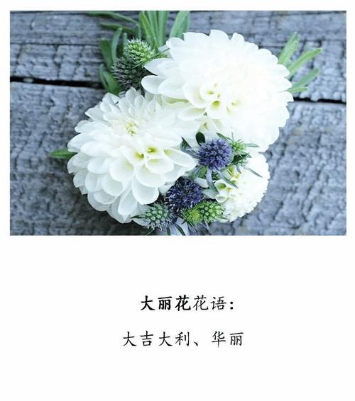 比赛顺利的花语有哪些？如何用花语祝福闺蜜比赛成功？