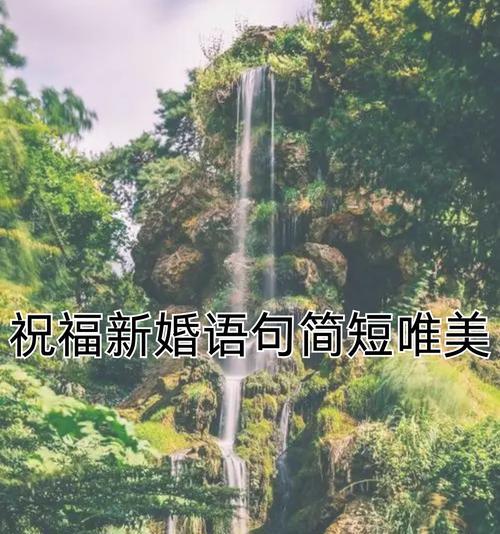 什么花语代表结婚快乐？哪种花是婚礼上的最佳选择？