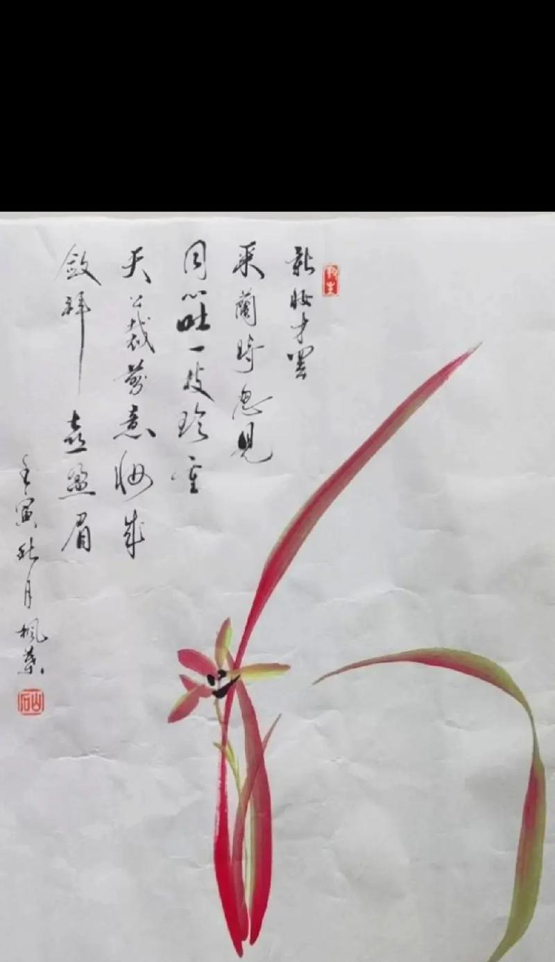 不见不散的花语有哪些？不见不散的花语代表什么？
