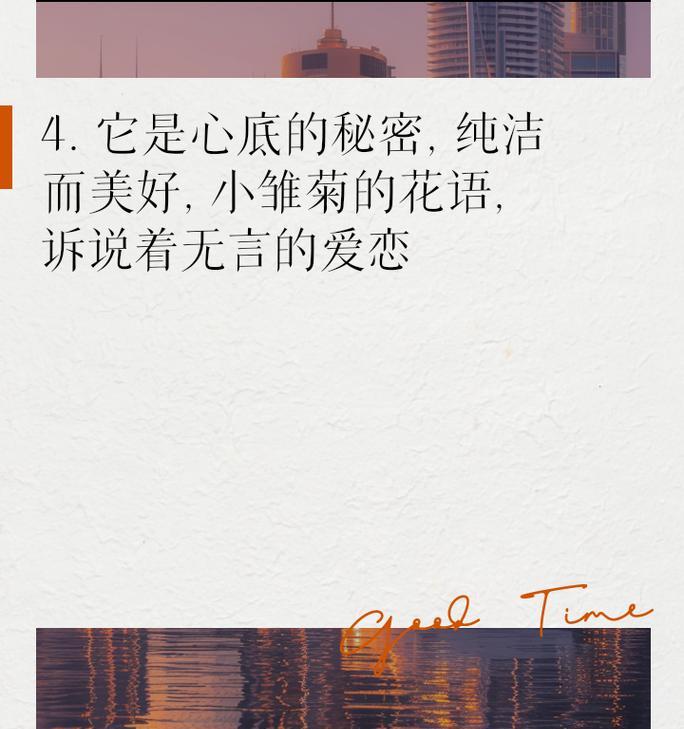 小雏菊的花语暗示了什么？
