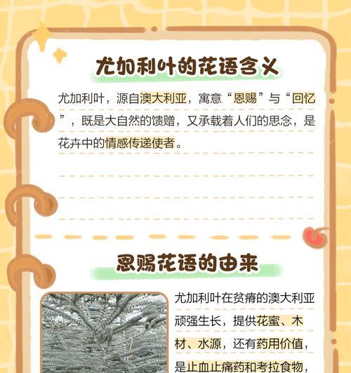 双重含义花语具体指的是什么？