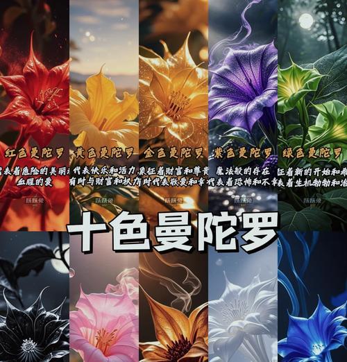 皮卡花的花语是什么？它代表了怎样的情感或信息？