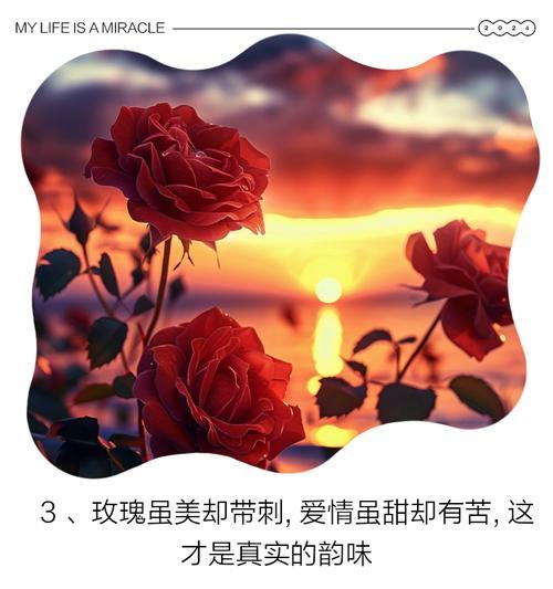 点燃玫瑰花的寓意是什么？送给女生有何特别含义？