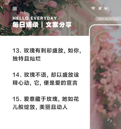 每一枝玫瑰都有什么特别的花语？
