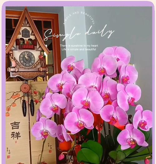 什么礼物有花语的名字有寓意？花语在礼物中扮演什么角色？