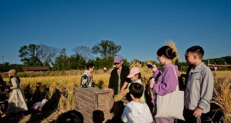 田间稻草人象征着什么花语？它在农业文化中扮演什么角色？