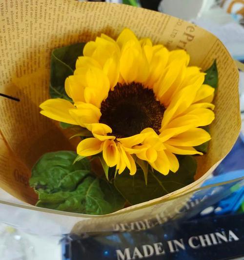 吐槽最丑的花语有什么含义？