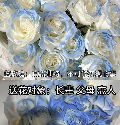 女朋友送玫瑰花的意义是什么？哪种颜色的玫瑰花最能表达爱意？