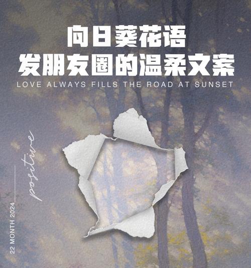 目光所至皆是你花语有何寓意？