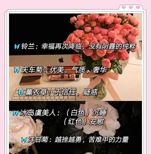 关于爱护花的花语是什么？这种花语传达了什么信息？