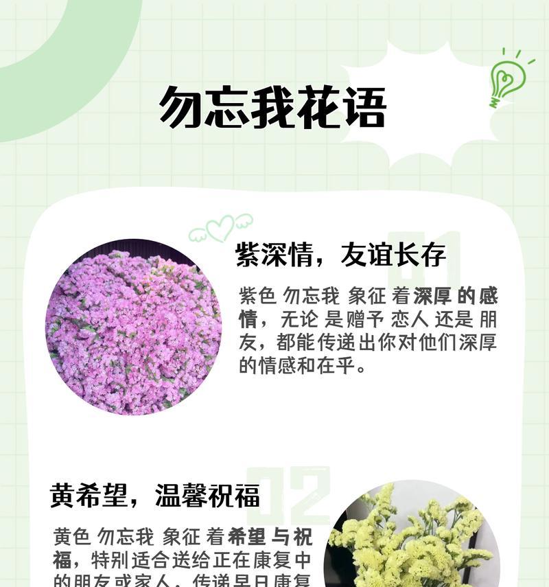 香槟草莓的花语是什么？它代表了什么？