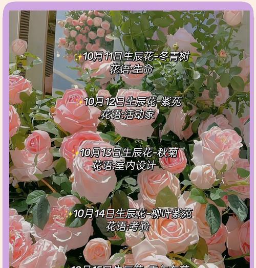 适合送给孩子们的花有哪些花语？