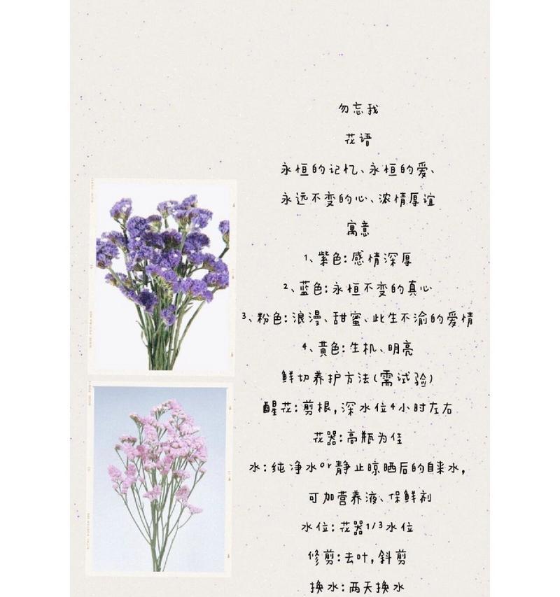 哪种花代表永恒不变的爱情？