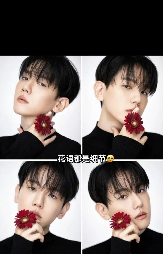 哪种花代表道歉的花语？对不起的花语有何特别之处？