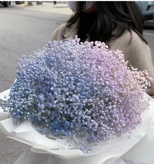 艾莎与满天星搭配的花语是什么？它们的组合有何寓意？