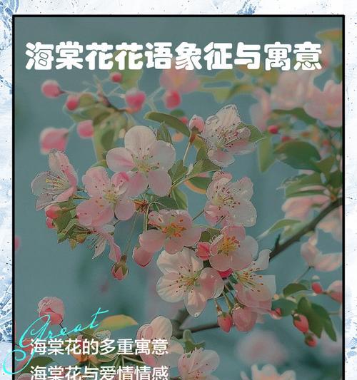 花朵寓意和花语有哪些？