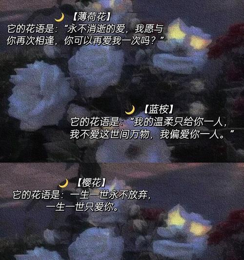 哪种花代表悲伤的爱情？花语如何表达这种情感？