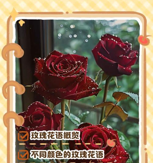 红色珠子手链加玫瑰花的寓意是什么？它代表了哪些情感？